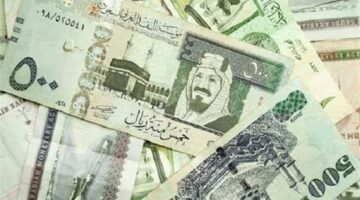 ما هي شروط وتكاليف استقدام العمالة المنزلية إلى المملكة السعودية ومتطلباتها؟