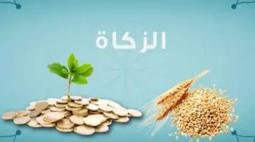 "احسب زكاة مالك" كيفية حساب زكاة المال الكترونيًا 1444