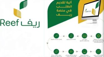 ما هي قواعد وشروط دعم ريف لربات البيوت في المملكة السعودية؟