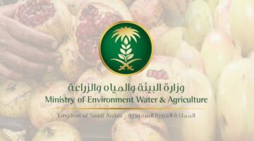 البيئة تطلق رابط استعلام عن دعم المواشي النفاذ الوطني وأهم الشروط اللازمة 