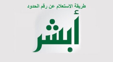 "الهيئة العامة للجوازات" تكشف عن طريقة استعلام عن رقم الحدود 1445 عبر منصة أبشر الإلكترونية وكيفية إصداره