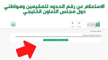 ما هي خطوات الاستعلام عن رقم الحدود في المملكة العربية السعودية؟