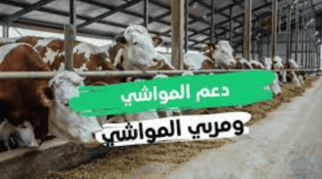 "وزارة البيئة والمياه والزراعة".. تعلن عن طريقة الاستعلام عن دعم المواشي