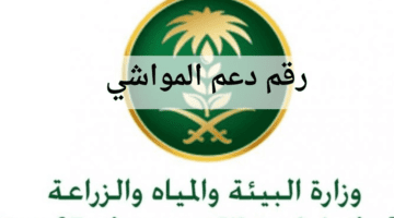 "وزارة البيئة" توضح طريقة استعلام عن دعم المواشي النفاذ الوطني