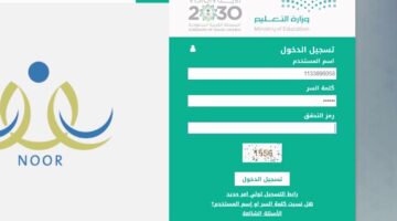 هل ظهرت نتائج الطلاب عبر نظام نور؟.. "وزارة التعليم السعودي" توضح