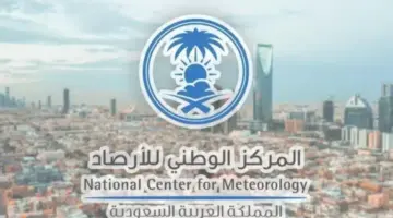 "المركز الوطني للأرصاد"... يحظر من الطقس على العديد من مناطق المملكة العربية السعودية