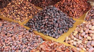 انطلاق فعاليات معرض عالم التمور واجهة الرياض في دورته الرابعة على التوالي