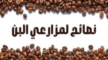 "لزيادة حجم الثمرة" .. الإرشاد الزراعي السعودي يقدم نصيحة لمزارعي البن