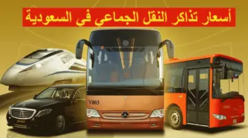 ما هي خطوات حجز تذاكر النقل الجماعي من خلال شركة سابتكو؟