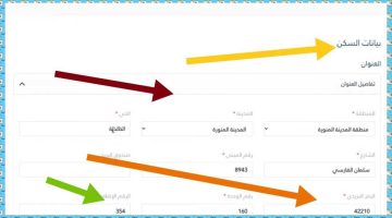 وزارة الموارد البشرية تحدد ما هو موعد صرف المبالغ المرتجعة للضمان الاجتماعي؟