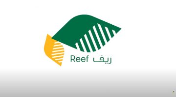 "العد التنازلي" .. موعد صرف دعم ريف لشهر ديسمبر 2023