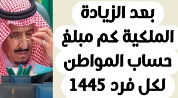 بعد استمرار الزيادة الملكية.. كم مبلغ حساب المواطن لكل فرد 1445؟
