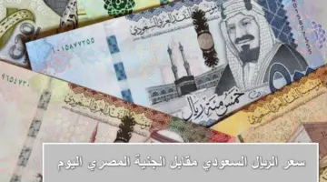 "تجاوز التوقعات".. سعر الريال السعودى مقابل الجنيه المصري في السوق السوداء اليوم والبنوك المصرية والخليجية