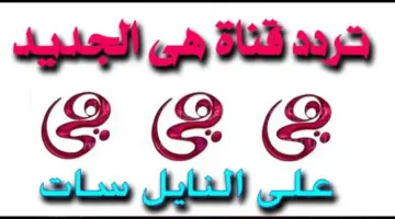 اضبط تردد قناة هي الجديد 2024 على النايل سات بعد حل مشكلة الإشارة