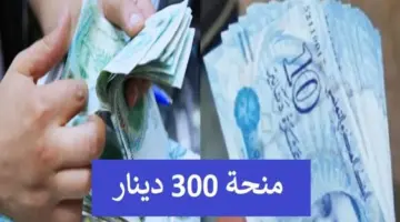 سجل الآن في منحة تونس واحصل على 300 دينار لعام 2024 والفئات المستبعدة