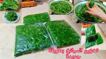 "هتقعد معاكي من السنة للسنة" طريقة تخزين السبانخ في الثلاجة بطريقة صحية بدون فقدانها قيمتها الغذائية وهتفضل معاكي سنين