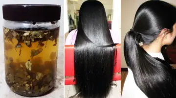 أسرع وصفة لتطويل الشعر وتكثيفه وأفضل الفيتامينات والزيوت التي تساعد على تغذيته