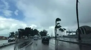 حسين القحطاني يؤكد استمرار انخفاض درجات الحرارة بالثلث الأول من فصل الشتاء