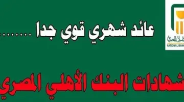 موعد طرح شهادات البنك الأهلي المصري الجديدة 2024 ذات العائد المرتفع