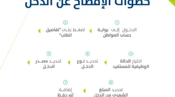 "العناية بالمستفيدين" توضح تأثير وثيقة العمل الحر للزوجة على الدخل الخاص بحساب المواطن للزوج