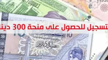 ما هو رابط التسجيل في منحة تونس 300 دينار وأهم الشروط المطلوبة ؟ .. " قدم الآن"
