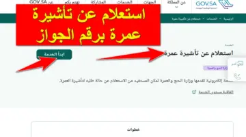 "بوابة العمرة الإلكترونية".. استعلام عن تأشيرة عمرة برقم الجواز 1445 عبر منصة التأشيرات