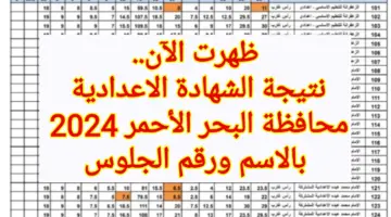 ظهرت الآن .. رابط نتيجة الشهادة الاعدادية محافظة البحر الأحمر 2024 بالاسم ورقم الجلوس