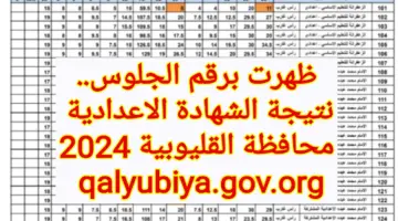 ظهرت برقم الجلوس.. رابط نتيجة الشهادة الاعدادية محافظة القليوبية 2024 عبر بوابة المحافظة qalyubiya.gov.org