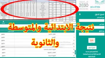 استعلام نتائج الطلاب برقم السجل المدني 1445 عبر نظام نور noor.moe.gov.sa