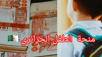 التضامن الاجتماعي يوضح أهم الشروط للتسجيل في منحة الطفل في الجزائر 2024
