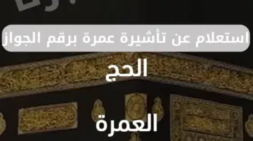 وزارة الحج والعمرة توضح خطوات ورابط الاستعلام عن تأشيرة عمرة برقم الجواز من المنزل