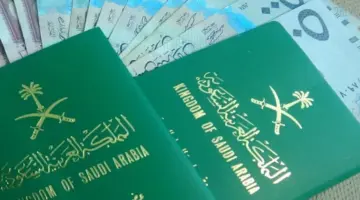 "وزارة الخارجية" تتيح رابط استعلام عن تأشيرة زيارة برقم الجواز 1445عبر منصة التأشيرات الإلكترونية