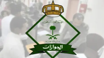 منصة التأشيرات تطلق رابط الاستعلام عن تأشيرة عمره برقم الجواز 1445