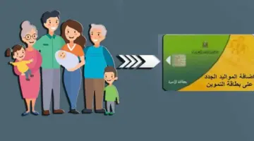 وزارة التموين توضح ما هي طريقة اضافة المواليد في التموين؟