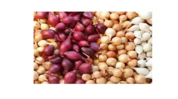 ما هو حجم الإنتاج المحلي من البصل بالمملكة وما أسباب ارتفاع سعره؟