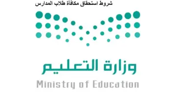 " التعليم" توضح شروط استحقاق الطلاب للمكافآت والمساعدات .. وخطوات الاستعلام