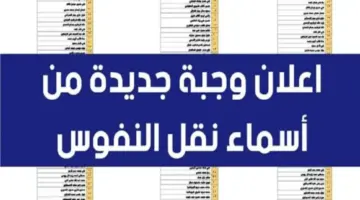 من هنا.. طريقة الاستعلام أسماء المقبولين في نقل النفوس الوجبة الجديدة 2024