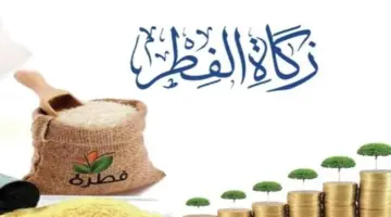كم قيمة زكاة الفطر 2024 في الامارات؟ .. "الإفتاء الشرعي" يكشف التفاصيل