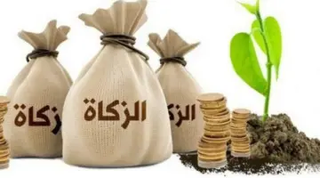 متى تخرج زكاة الفطر وما مقدار إخراجها؟ " الإفتاء المصري" يجيب