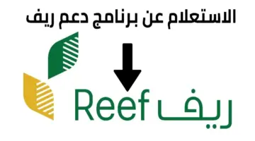 ما خطوات الاستعلام عن دعم ريف برقم الهوية 1445 والشروط المطلوبة للتسجيل؟.. "البيئة" تُجيب
