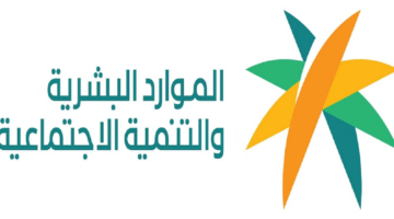 لمدة 6 أشهر.. "الموارد البشرية" تعلن إلزام تدريب الطلاب الجامعيين قبل تخرجهم