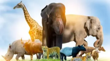 هل يوجد حيوان يصوم مع الانسان ويمتنع عن الطعام والشراب؟