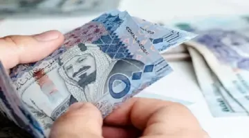 كيف احسب كم احصل من الضمان الاجتماعي المطور؟.. "الموارد البشرية" تجيب