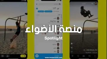 ماهي الشروط التي تساعد في تحقيق أرباح منصة الأضواء؟