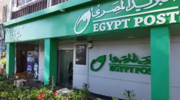 ما هي الشروط المطلوبة للتقديم على وظائف البريد المصري 2024؟