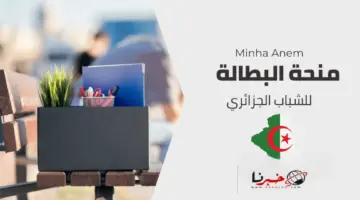 ما هي خطوات تجديد منحة البطالة كل 6 أشهر؟.. وأهم الشروط المطلوبة للتسجيل 