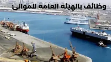 الهيئة العامة للموانئ تطرح وظائف شاغرة لحملة الدبلوم فأعلى بالرياض