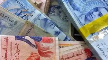 الشؤون الاجتماعية تكشف شروط منحة 300 دينار تونس وآلية تسجيل الدخول بها 2024