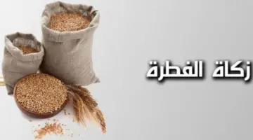 كيفية إخراج زكاة الفطر 1445 بالمملكة وما هي قيمتها وموعد سددها؟