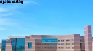 "جامعة الباحة" تعلن عن وظائف شاغرة على رتبة معيد في تخصصات عديدة